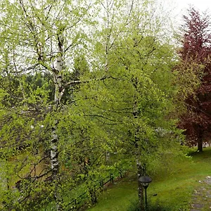 https://relax-sullaltopiano-di-asiago.hotelinveneto.com